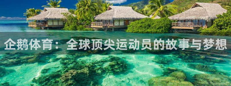 杏宇官网注册：企鹅体育：全球顶尖运动员的故事与梦想