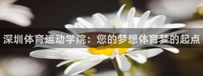 杏宇注册平台登录网址是多少：深圳体育运动学院：您的梦想体育梦的起点