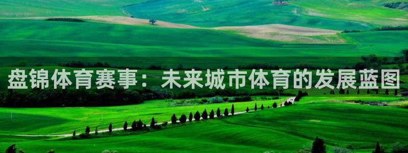 杏宇体育平台总代理：盘锦体育赛事：未来城市体育的发展蓝图