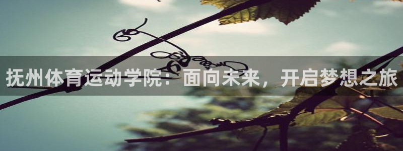 杏宇体育凯捷平台招商：抚州体育运动学院：面向未来，开启梦想之旅