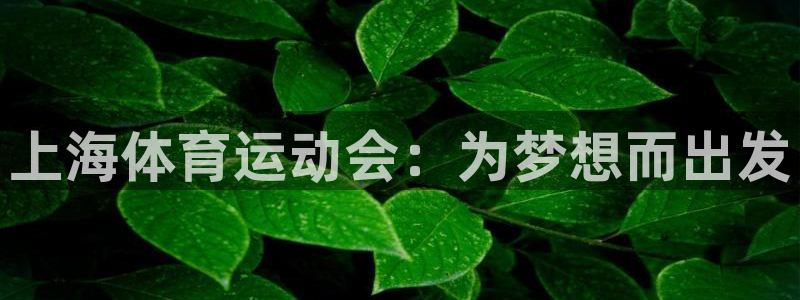 杏宇平台注册：上海体育运动会：为梦想而出发