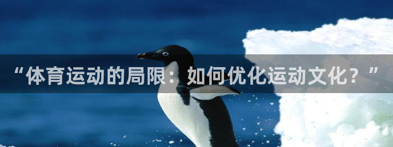 东莞市杏宇电子科技有限公司：“体育运动的局限：如何优化运动文化？”