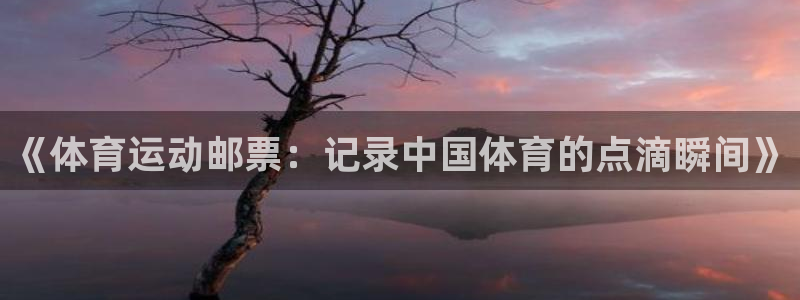 杏宇2代理注册：《体育运动邮票：记录中国体育的点滴瞬间》