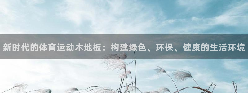 杏宇2平台：新时代的体育运动木地板：构建绿色、环保、健康的生活环境