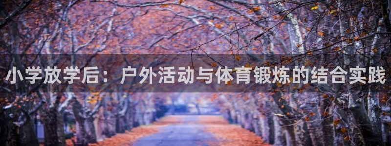 杏宇体育凯捷平台主管：小学放学后：户外活动与体育锻炼的结合实践