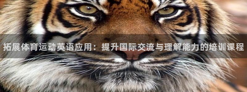 杏宇平台登录测速：拓展体育运动英语应用：提升国际交流与理解能力的培训课程
