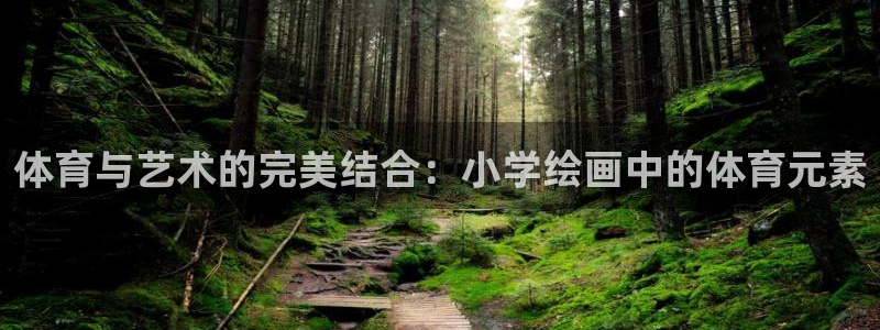 杏宇集团：体育与艺术的完美结合：小学绘画中的体育元素