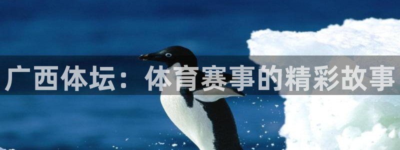 www.杏宇体育.com：广西体坛：体育赛事的精彩故事