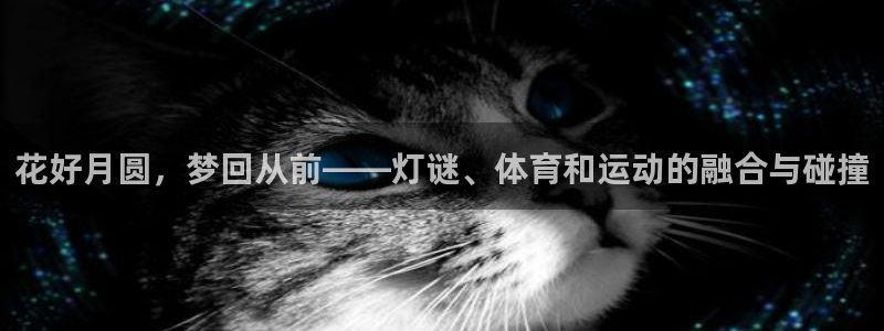 杏宇体育热门赛事有哪些：花好月圆，梦回从前——灯谜、体育和运动的融合与碰撞