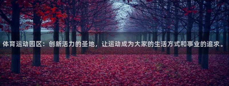 www.杏宇体育.com：体育运动园区：创新活力的圣地，让运动成为大家的生活方式