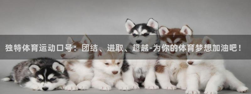 杏宇体育注册：独特体育运动口号：团结、进取、超越-为你的体育梦想加油吧！