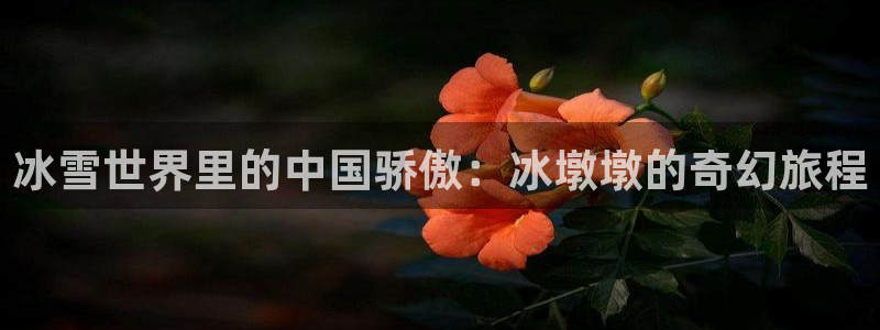 杏宇官网入口：冰雪世界里的中国骄傲：冰墩墩的奇幻旅程