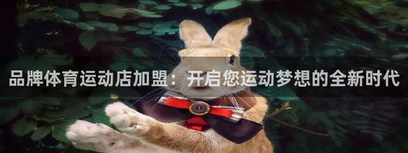 杏宇2注册：品牌体育运动店加盟：开启您运动梦想的全新时代