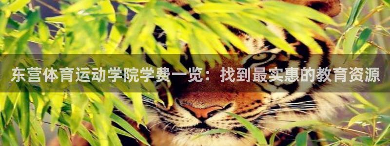 杏宇体育网页版入口：东营体育运动学院学费一览：找到最实惠的教育资源