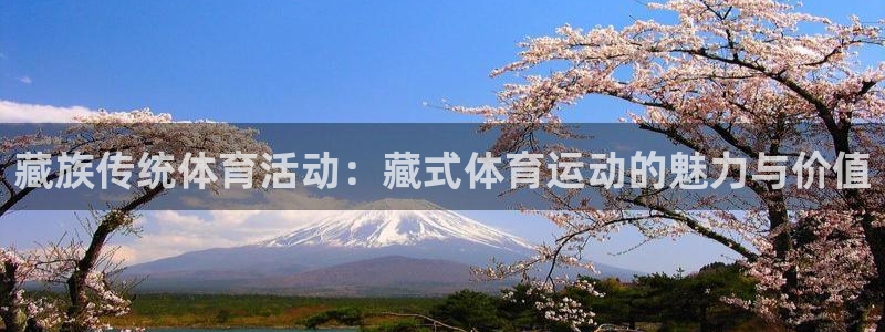 杏宇注册：藏族传统体育活动：藏式体育运动的魅力与价值