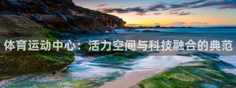 杏宇3官网登录：体育运动中心：活力空间与科技融合的典范