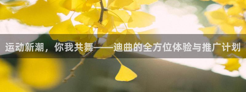 杏宇2代理注册：运动新潮，你我共舞——迪曲的全方位体验与推广计划
