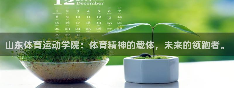 杏宇2登录入口：山东体育运动学院：体育精神的载体，未来的领跑者。