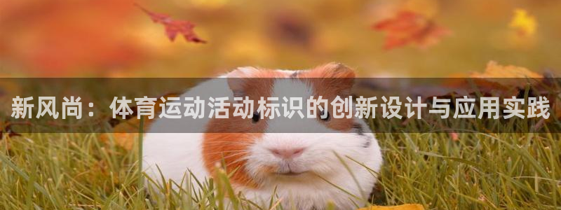 杏宇2平台登录：新风尚：体育运动活动标识的创新设计与应用实践