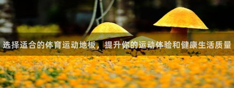 杏宇体育平台开号链接：选择适合的体育运动地板，提升你的运动体验和健康生活质量