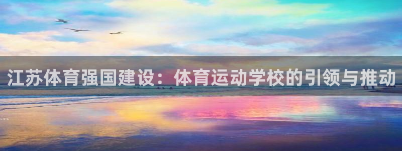 杏宇体育凯捷平台招商：江苏体育强国建设：体育运动学校的引领与推动