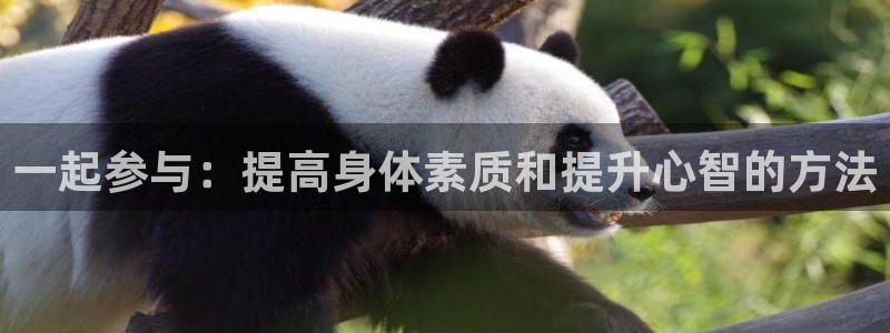 杏宇体育官网注册：一起参与：提高身体素质和提升心智的方法