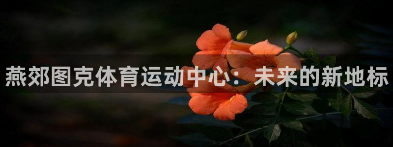 杏宇平台主管：燕郊图克体育运动中心：未来的新地标