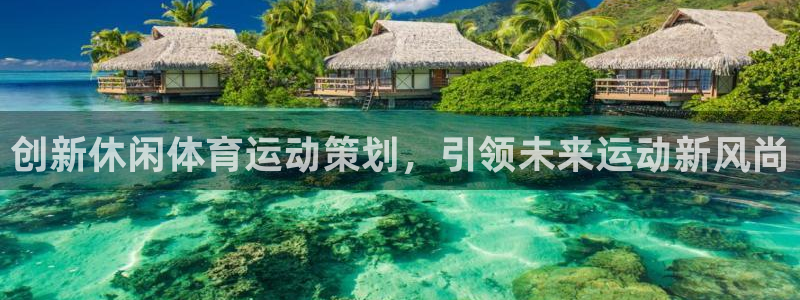 杏宇体育平台开号链接：创新休闲体育运动策划，引领未来运动新风尚