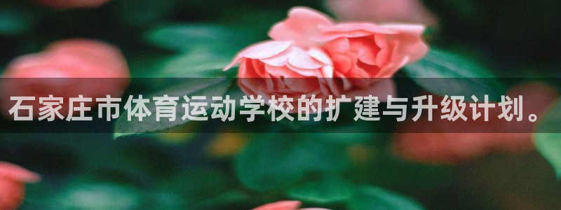 杏宇vk：石家庄市体育运动学校的扩建与升级计划。