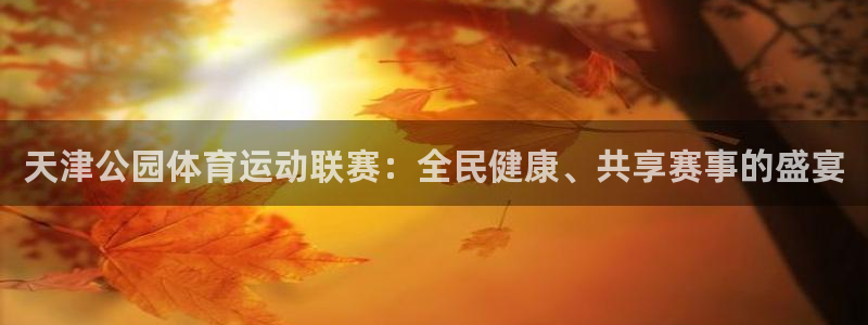 杏宇4官网：天津公园体育运动联赛：全民健康、共享赛事的盛宴