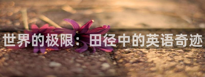 杏宇3平台登录注册：世界的极限：田径中的英语奇迹