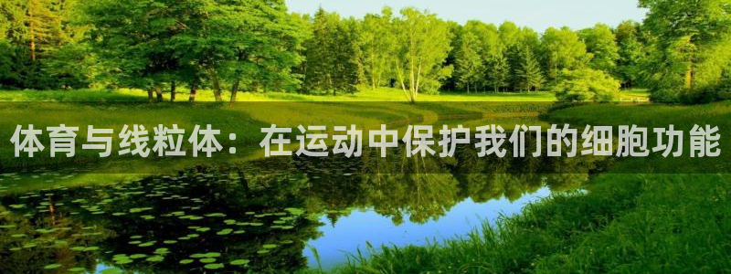 杏宇2官网：体育与线粒体：在运动中保护我们的细胞功能