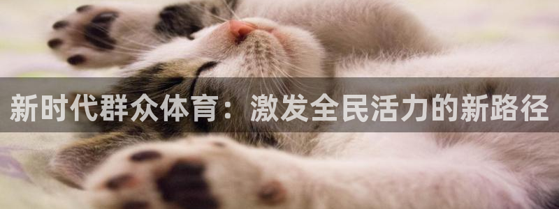 杏宇体育官网注册：新时代群众体育：激发全民活力的新路径
