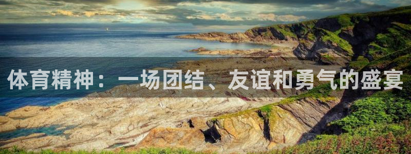 杏宇包怎么样：体育精神：一场团结、友谊和勇气的盛宴