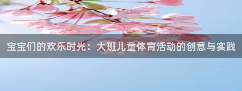 杏宇代理：宝宝们的欢乐时光：大班儿童体育活动的创意与实践