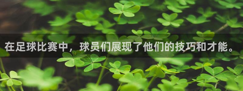 杏宇3平台登录注册：在足球比赛中，球员们展现了他们的技巧和才能。