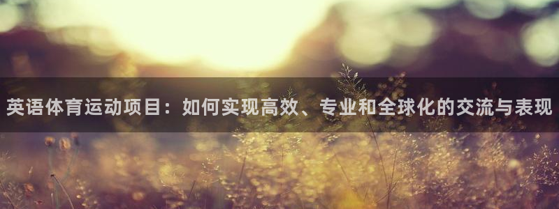 杏宇集团总部：英语体育运动项目：如何实现高效、专业和全球化的交流与表现
