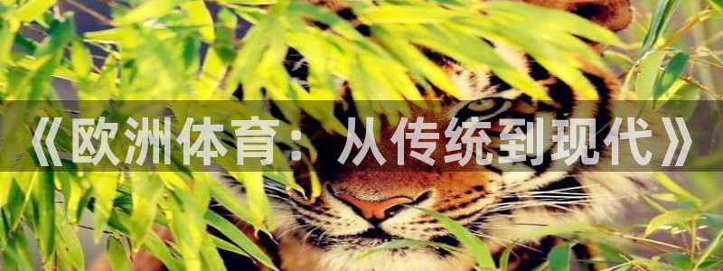 杏宇2官网：《欧洲体育：从传统到现代》