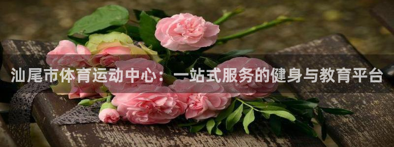 杏宇集团股票：汕尾市体育运动中心：一站式服务的健身与教育平台