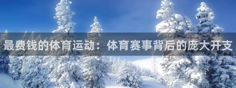 杏宇平台注册入口：最费钱的体育运动：体育赛事背后的庞大开支