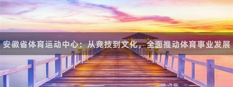杏宇f平台注册：安徽省体育运动中心：从竞技到文化，全面推动体育事业发展