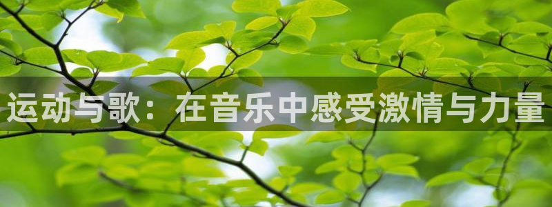 杏宇体育4：运动与歌：在音乐中感受激情与力量