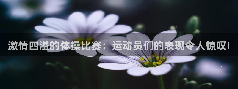 杏宇：激情四溢的体操比赛：运动员们的表现令人惊叹!